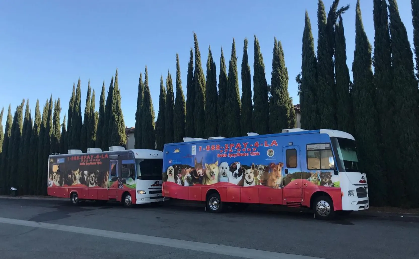 Mobile spay neuter clinic best sale near me